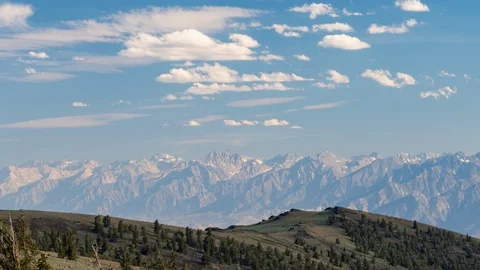 BRISTLECONE PINES EASTERN SIERRAS Stock-Footage 127960549