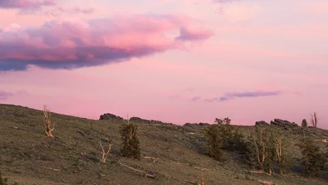 BRISTLECONE PINES SUNSET TIMELAPSE Stock-Footage 127896852