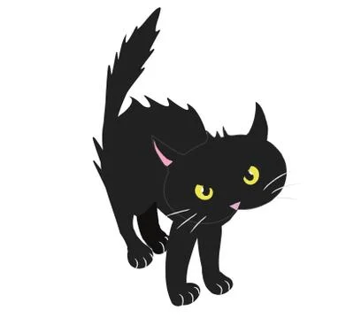 BRISTLED BLACK CAT Stock Illustration