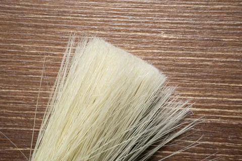 Bristles of a brush Stock Photos