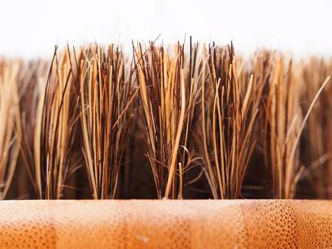 Bristles on a brush Stock Photos
