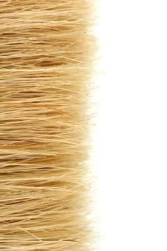 Bristles Stock Photos