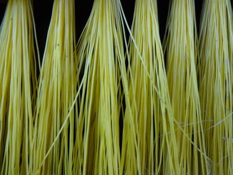 Bristles Stockfoto's