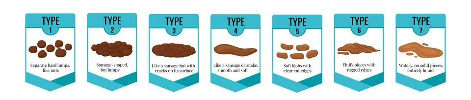 Bristol stool chart with faesces type classification. Stock Illustration