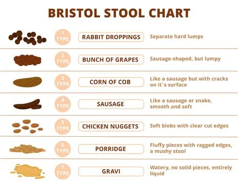 Bristol stool scale, poop types infographic. Digestive problems medical poster Stock Illustration
