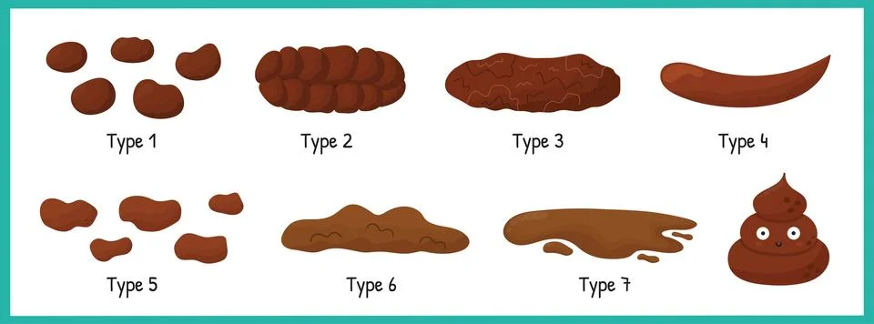 Bristol stool set with different types of poo. Human feces collection Stock Illustration