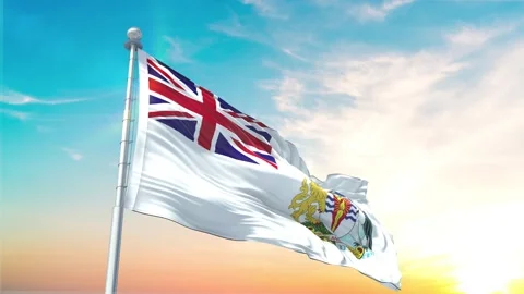 British Antarctic Territory-Flag Stock Footage 296475213