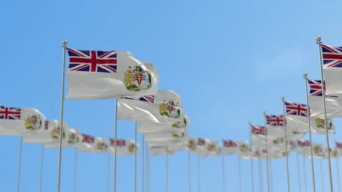 British Antarctic Territory Row Of Flags 3D Animation Stock Footage 148633771