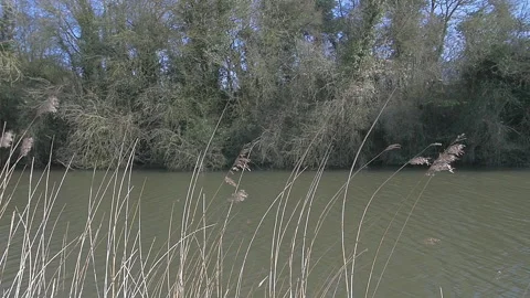 British Canal 2 Stock Footage 131384184
