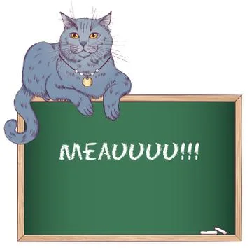 British cat on the chalkboard Stock Illustration