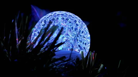 British Cat Hiding in Darkness Behind a Spinning Disco Ball, Ears Stick Out. 4K Stock Footage 146904521