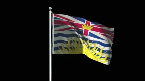 British Columbia Flag Big Video stock 160126412