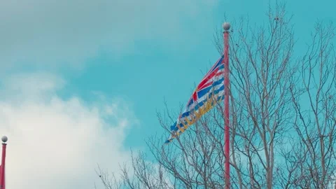 British Columbia flag on pole behind bare winter trees Stock-Footage 330758140