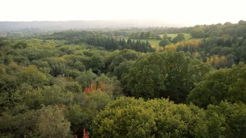 British countryside aerial pull back with single red tree Stock Footage 119069036