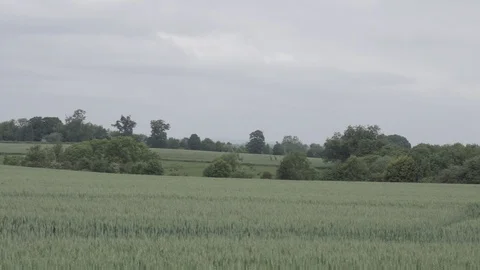 British countryside fields, handheld Video stock 91617748