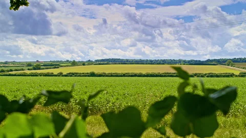 British Countryside Scene in Summertime Stock Footage 337642413