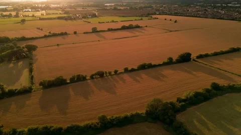British countryside at sunset with amazing fields of crops and light Stock Footage 314304190