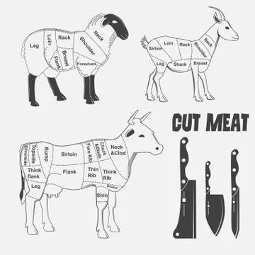 British cuts of lamb, veal, beef, goat or Animal diagram meat. Stock-Illustration