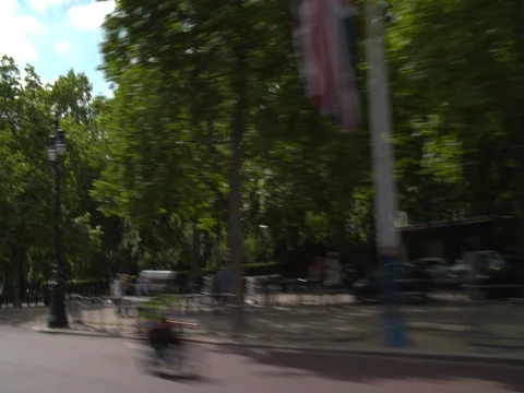 British Flag and Tree Stock Footage 76564669