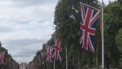 British flags n trees Video stock 83792859