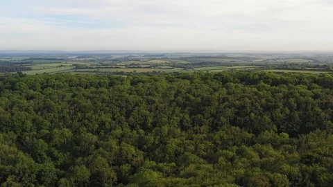 British Forest Countryside Stock Footage 126697198
