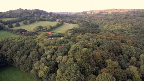 British forest at dusk in summer beautiful aerial view v2 Stock Footage 118264034