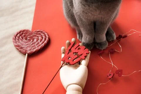 British gray cat sitting on the table with lollipop, garland Foto stock