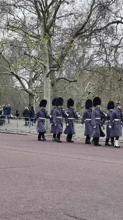 British guards standing in formation outside Buckingham Palace Stock Footage 323591489