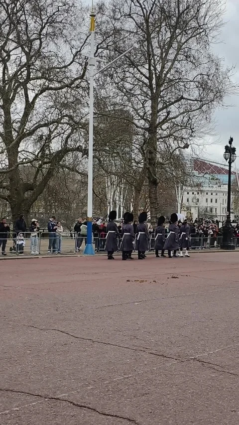 British guards standing in formation outside Buckingham Palace Stock Footage 323591593