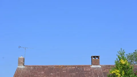 British house rooftop and bush on a sunny blue sky day Stock Footage 278193451