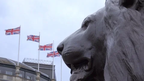 British lion sculpture in Trafalgur Square Stock Footage 83606414