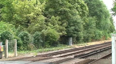 British Passenger Train Stock Footage 1010437