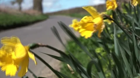 A British Postal service van 動画素材 49073989