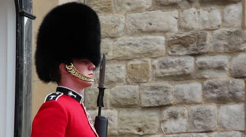 British queen's guard on duty Vídeo Stock 24863161