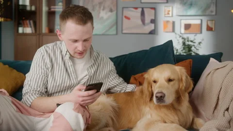 British redhead man sitting on sofa together with dog retriever making selfie Stock Footage 153092078