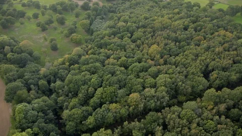 British rolling fields and forests in summer at dusk aerial view v5 Stock Footage 118263117