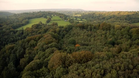 British rolling fields and forests in summer at dusk aerial view v4 Stock Footage 118264347