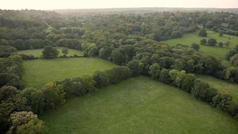 British rolling fields and forests in summer at dusk aerial view v2 Stock Footage 118264697