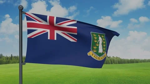 British Virgin Islands Flag Stock Footage 153256846