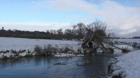 British winter with snow set beside a river 스톡 동영상 169190116