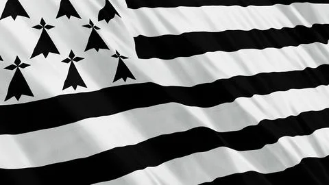Brittany Flag Dark Style Stock Illustration