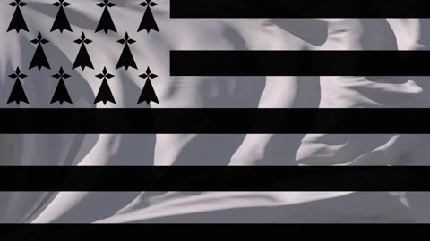 Brittany Flag Loop Stock Footage 295746409