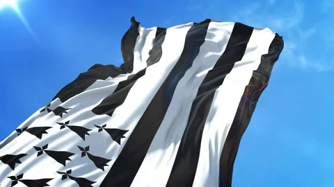 Brittany Flag Low Angle View Stock Footage 295686222