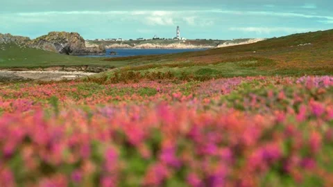 Brittany lighthouse Phare du Stiff on island Ouessant Stock Footage 260540213