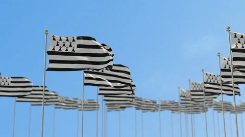 Brittany Row Of Flags 3D Animation Stock Footage 148635317