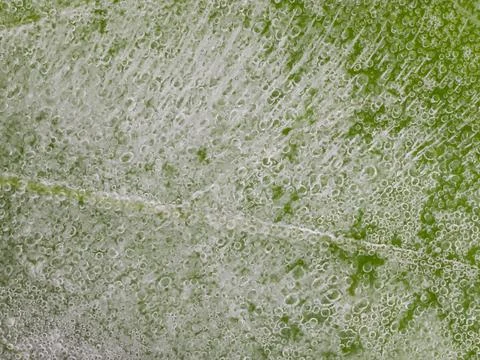Brittle ice with bubbles Stock Photos
