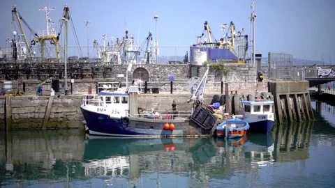 Brixham Devon England. The harbour, marina, breakwater Stock Footage 133438708