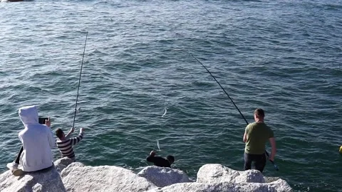 Brixham, devon. May 31, 2021. A happy men with two friends fishing in brixh.. Stock Footage 264335778