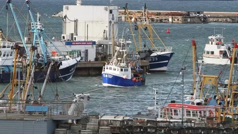 Brixham, Devon: Trawler arrives to join rest of fleet Stock Footage 141224181