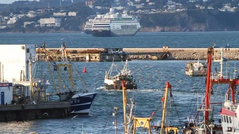 Brixham, Devon: Trawler leaves harbour trailed by flock of seagulls (MUTE) Stock Footage 142000122